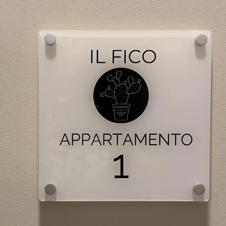 Il Fico - 1 - Lux & Design Made In Puglia New Opening